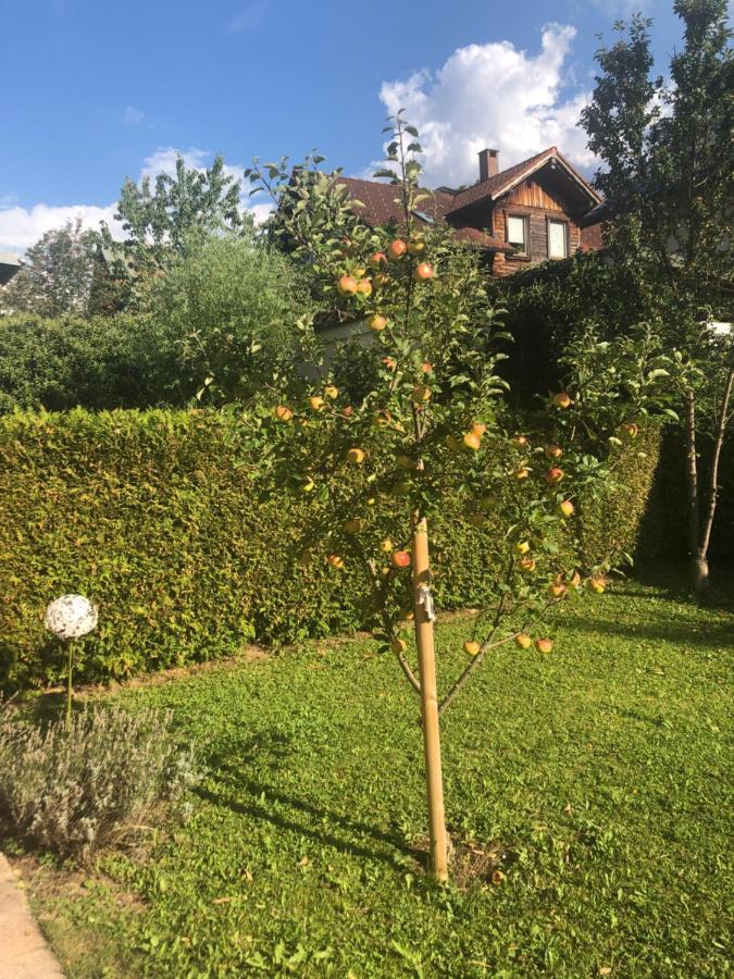 Auszeit Im Allgaeu ซอนโทเฟิน ภายนอก รูปภาพ