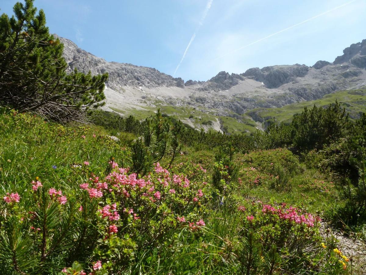 Auszeit Im Allgaeu ซอนโทเฟิน ภายนอก รูปภาพ